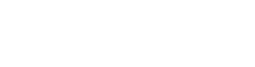 sole